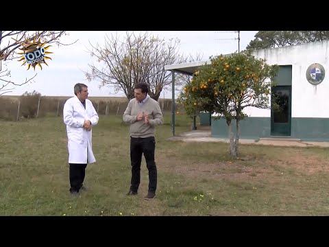 Todo Uruguay | Río Negro: el maestro rural
