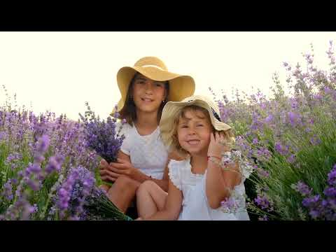 child in a lavender field selective focus 2025 02 06 16 38 33 utc