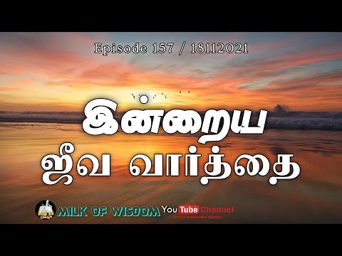 இன்றைய ஜீவ வார்த்தை ( #157 ) Milk of Wisdom || DRMchurch