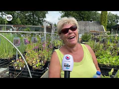 Moai Fuort S2021 #12 in Buitenpost: "Hagen knippen is lekker ontspannend"