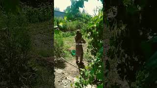 Download lagu 2-avgust, 2023 mp3