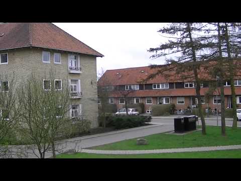 MongoTV_334 - Godmorgen - Del 2 - Fede Mongo John Vågnet - Han Vil Have Kaffe Røg Kvinder Og Varme