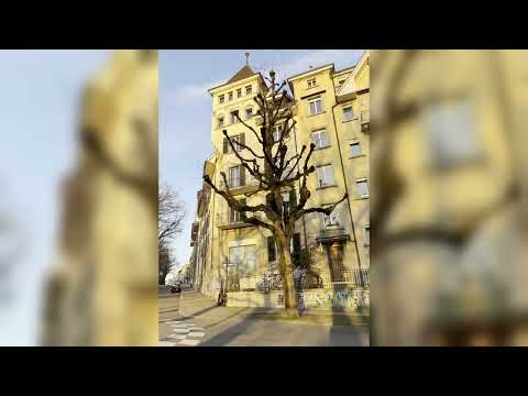 Breitenrain-Lorraine Introduction