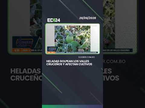 HELADAS GOLPEAN LOS VALLES CRUCEÑOS Y AFECTAN CULTIVOS
