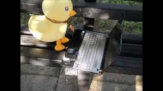 我們談的不是寂寞，是