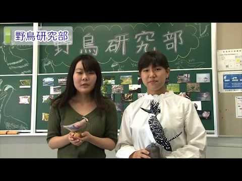 麻布大学祭2015_1