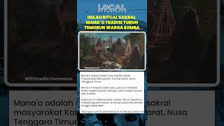 Inilah Ritual Sakral Mana'o Tradisi Turun Temurun Warga Sumba