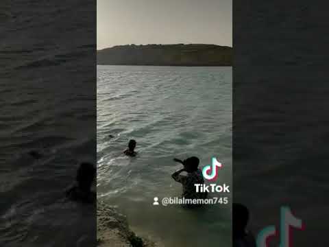 Beautiful view Kohsar Habib Farm Hyderabad #status #2023 #shorts #nature