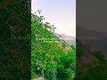 Naturelovers Natural Nature Hills Mountains Beautifulview Naturephotography Roses Peace View