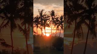 バリ島ウブド近郊/朝の光景/2025年4月3日 #バリ島 #ウブド #海外生活