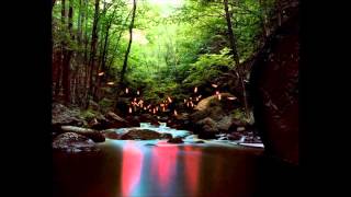 dZihan \u0026 Kamien - (FOP) Forms of plasticity - Avalon