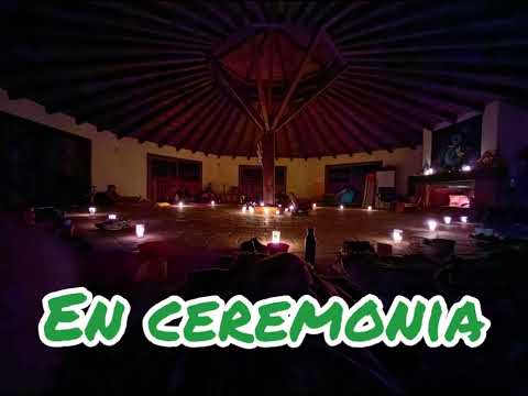 TRIBU GALEZ - La Luz en tu mirada (Díaz-Munive, 2024) (cover)