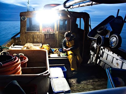 Introduction to Cornish under 10m day fishing boat netting techniques