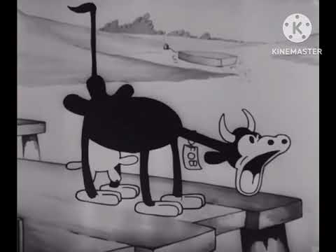 litawy stem boa I  ilie