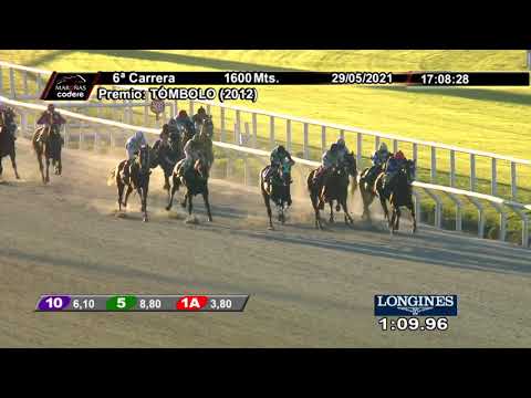 210529 c06 EL SAMURAI