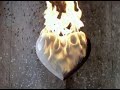 Picture of Love - The Frames