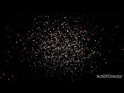 Top 10 cats in the world / Top 10 big cats / Wild Forests