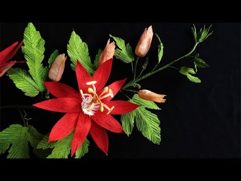 ABC TV | How To Make Passion Paper Flower From Crepe Paper - Craft Tutorial