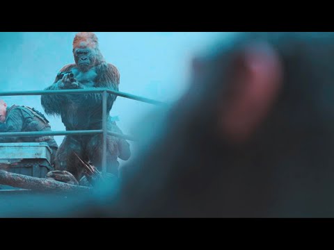 Caesar was saved by a monkey | War For The Planet Of The Apes | Clip 4K