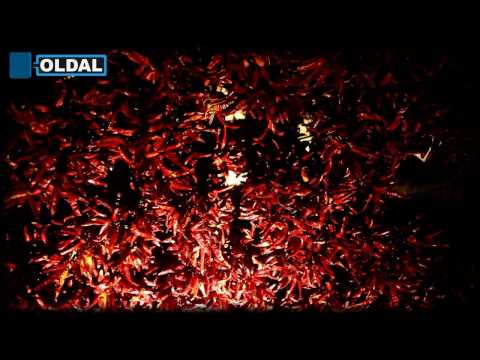 Greg Note & Dj Zoohacker