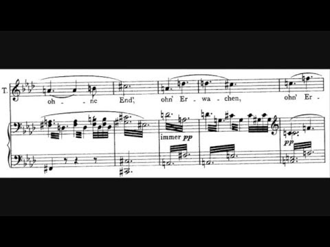 Richard Wagner - Love Duet from Tristan & Isolde (Act II) "O sink hernieder, Nacht der Liebe"