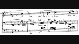 Richard Wagner - Love Duet from Tristan & Isolde (Act II) 