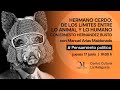 Hermano Cerdo | límites entre lo animal y lo humano