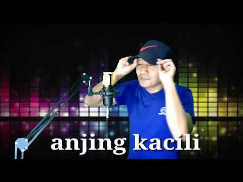 ANJING KACILI COVER LIRIK