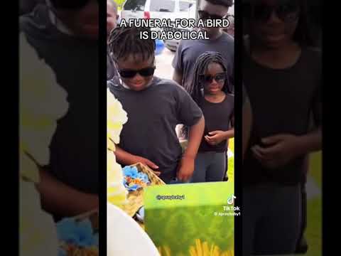 A funeral for a bird is crazy 😂😂😂😂 #unitedkingdom #subscribe #tiktok #shortsfeed #comedy #foryou