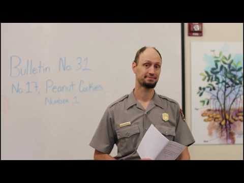 Cook Stove Chemistry 101 Peanut Cookies Number One