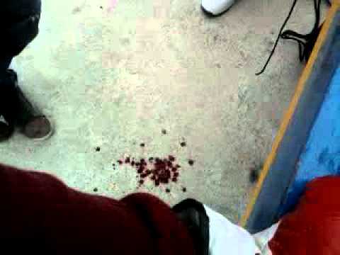 pelea en la uaeh ( daniel perdio)