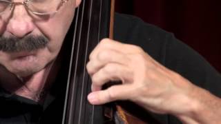 Benjamin Britten Young Persons Guide to the Orchestra Double Bass variation