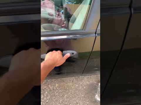 Ford Focus 2007. Door handle not working?