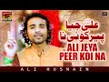 Ali Jeya Peer Koi Na | Ali Husnain | TP Manqabat