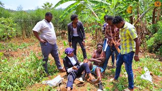 Download lagu MITSUTSU COMEDY :Kwiba imyumbati ya Dalislam mp3 Download lagu MITSUTSU COMEDY :Kwiba imyumbati ya Dalislam mp3