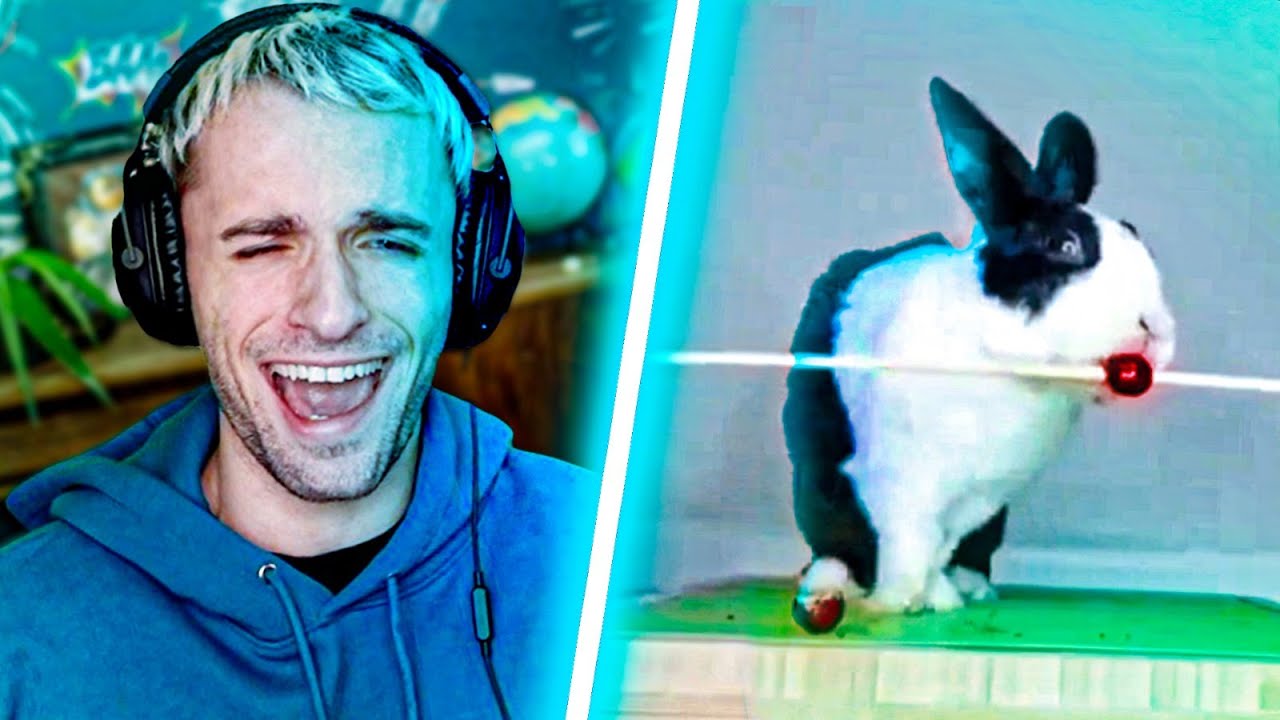 ils ont voulu faire quoi là ?? thumbnail