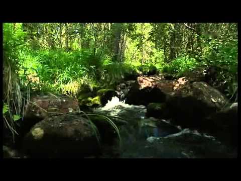 Zu Tisch in Dalarna (Schweden) - Teil 1/2