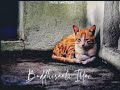 Manam Irukum Manithanidam Panam Irupathillai NiGhT Vibes Whatsapp Status Status Sanctuary