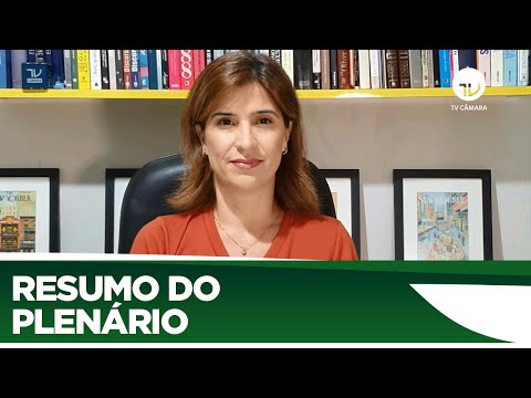 Veja o que foi aprovado no Plenário esta semana - 08/05/20