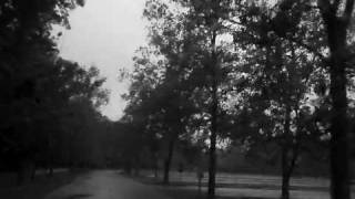 Seether - Master Of Disaster [Dreams POV Video].