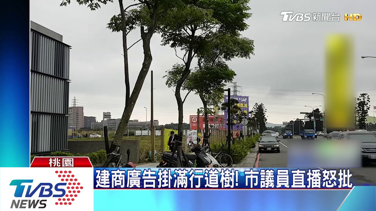 建商廣告掛滿行道樹！　市議員直播怒批