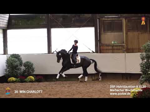 Trainingsimpressionen KN 26 WIN CHARLOTT 6-j. Stute v. Fürstenball   *Marbacher Wochenende 2020*