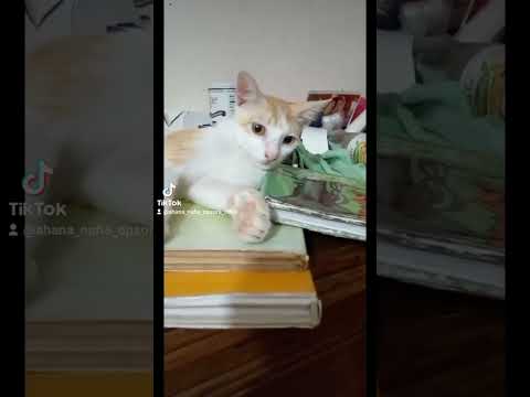 My heart|| lossing you is a nightmare for me|| Every moment spent with you will be memorable to me🥺