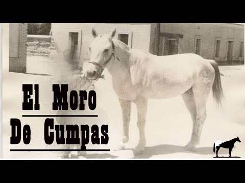 Here Doubts End “NO” The Chestnut Horse from Agua Prieta Won (The True Story) 🐴-I'm from the Hill