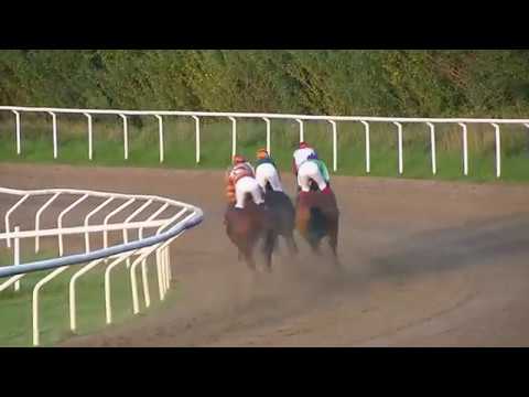 2017.08.14 Jägersro Cup (SWE) - Talk My Talk