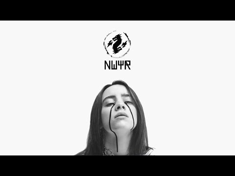 Billie Eilish - When the party's over (NWYR Festival Mix)