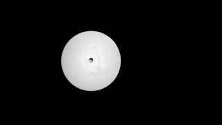 life feat paul shapiro