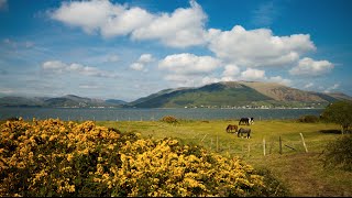 SHOW ME - IRELAND