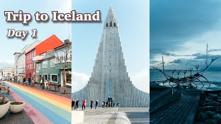 【Day1】冬のアイスランド観光〜初めてのオーロラに感動〜