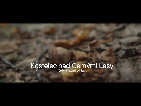 Náhled pro video reference